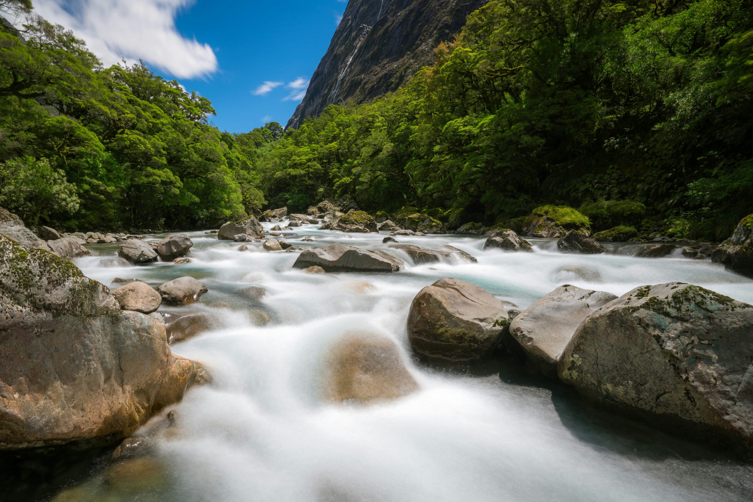 NZ Milford Sound Stream